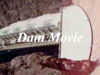 Dam Movie