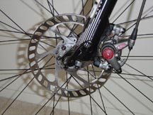 Mtb6Thumb [ Unregistered Tarantula ] , 12296 byte(s).